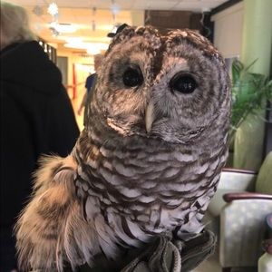 Meet your Posher, Lori